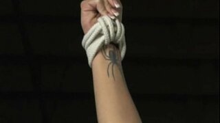 ฮาร์โมนี่-โสเภณีการฝึก-เต็มไปด้วหนัง